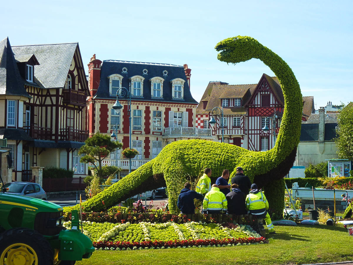 barfleur_01