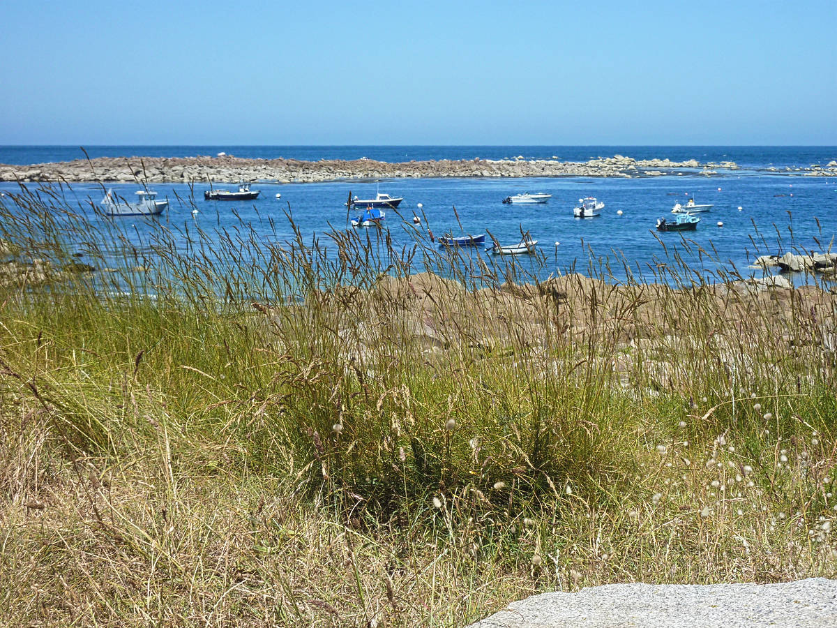 barfleur_08