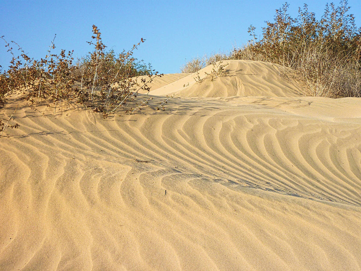 fuerteventura_13