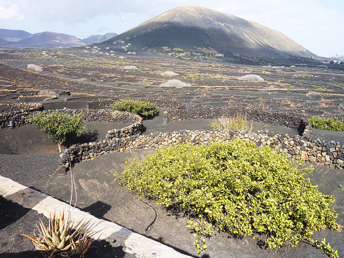 lanzarote_09