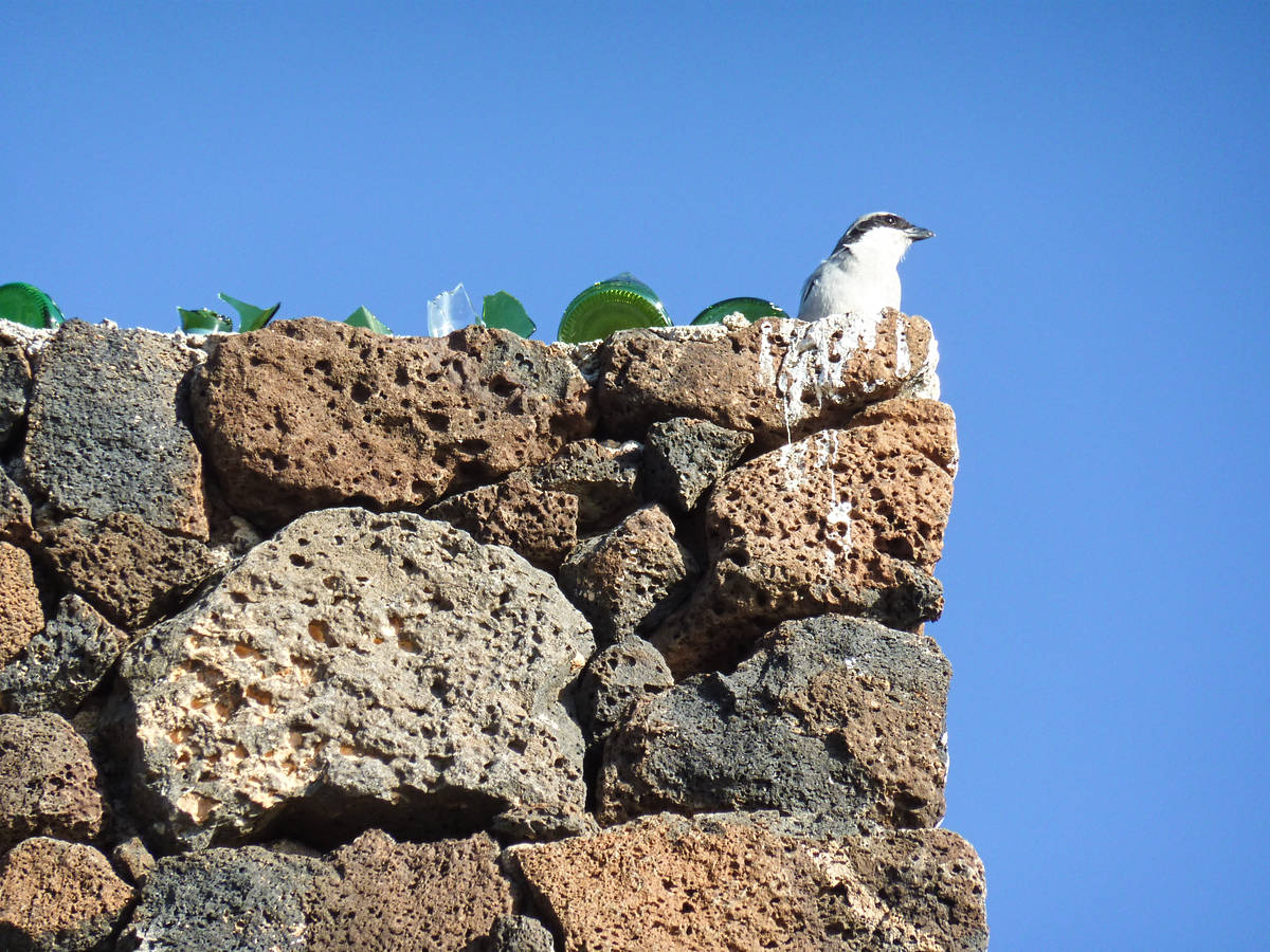 lanzarote_13